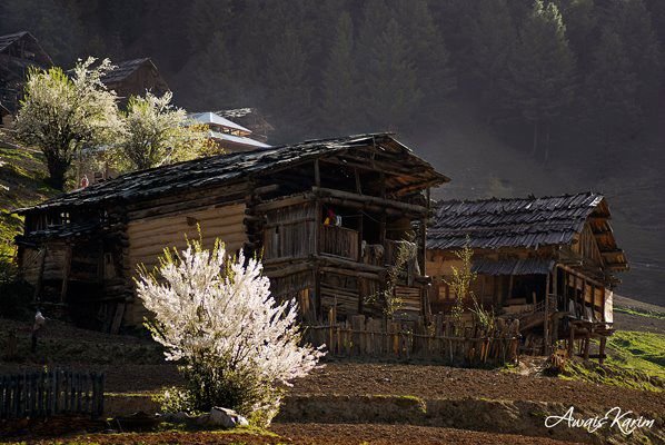 TaoBat-Neelum-valley Tao-bat-taobat-neelum-valley-azad-kashmir-ajk