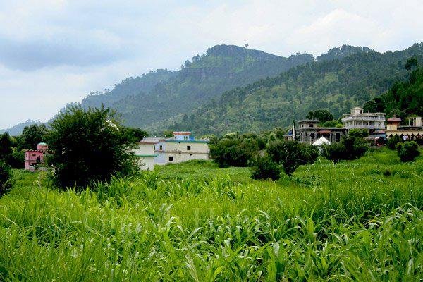 kotli-charohi Hotels-in-Kotli