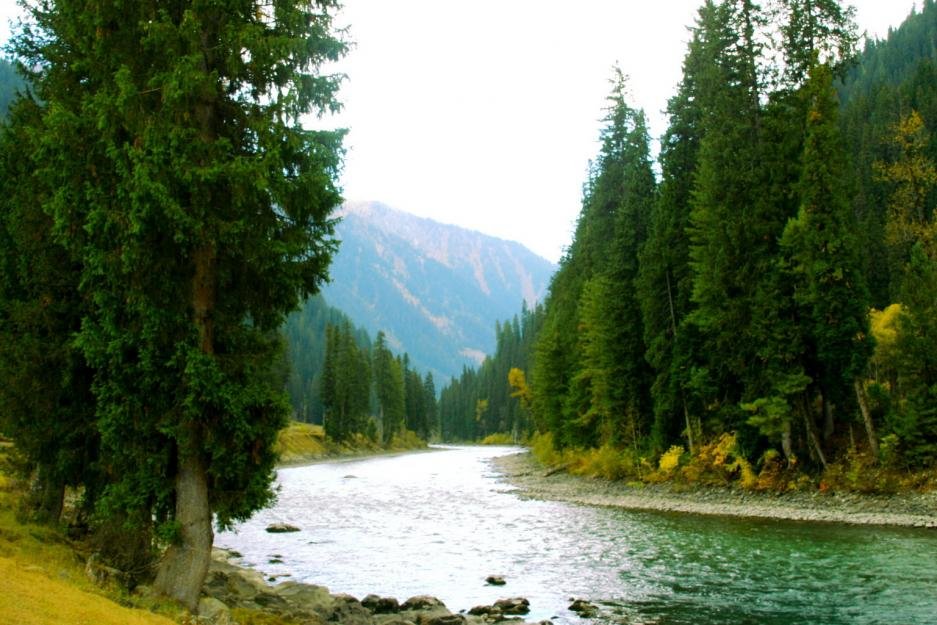 Places To Visit And Best Time To Visit Neelum Valley