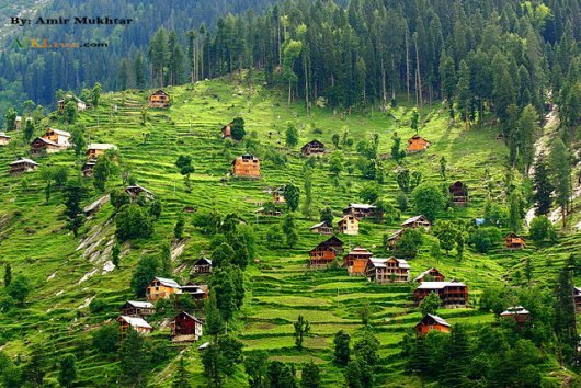 Sharda-4.jpg
