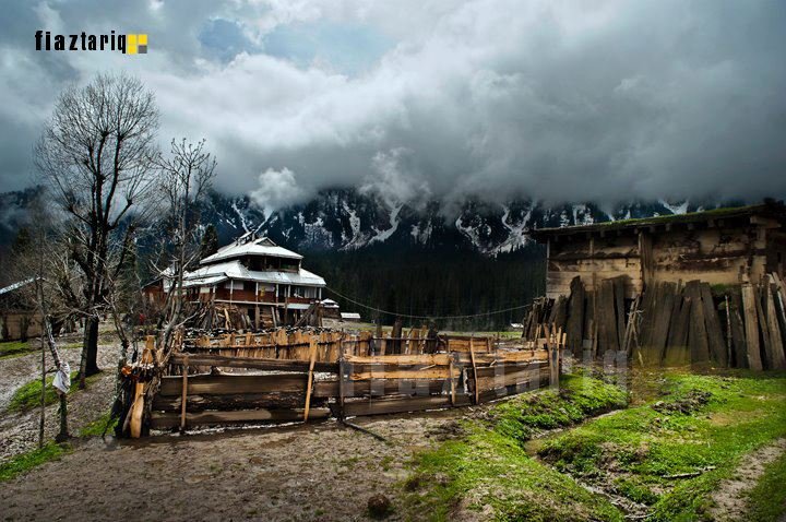 arrang-kel.jpg