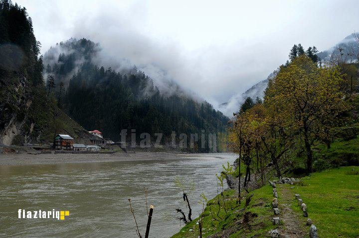 arrang-kel-3.jpg
