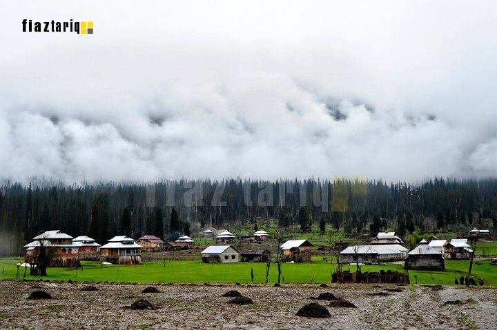arrang-kel-6.jpg