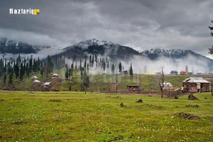arrang-kel-7.jpg