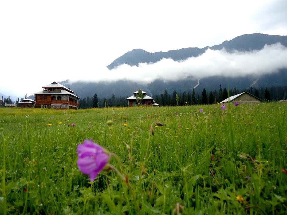 arrang-kel-beauty.jpg