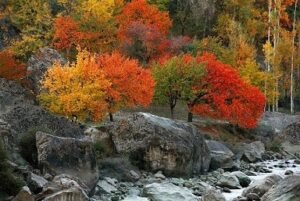 Gulmit, Upper Hunza, Gilgit-Baltistan (1)