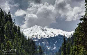 AJK Tours