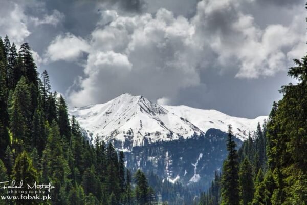 Kel Neelum valley