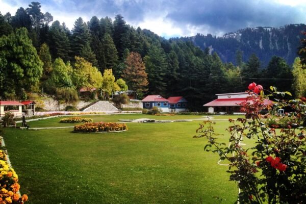 pine-park-shogran-hotel