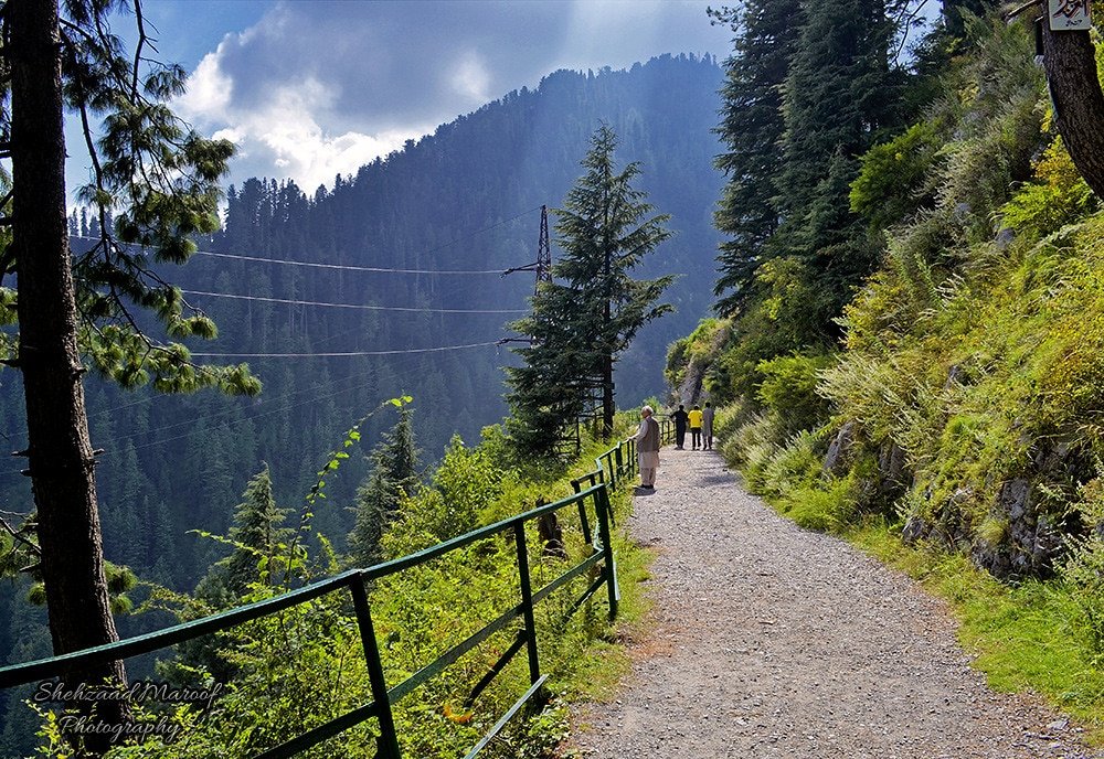 Ayubia National Park