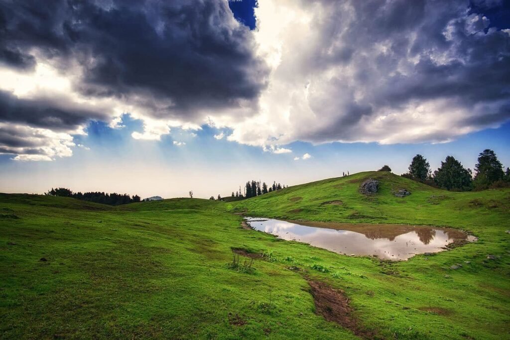 Mushkpuri top