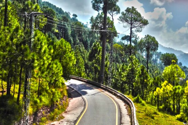 New Murree