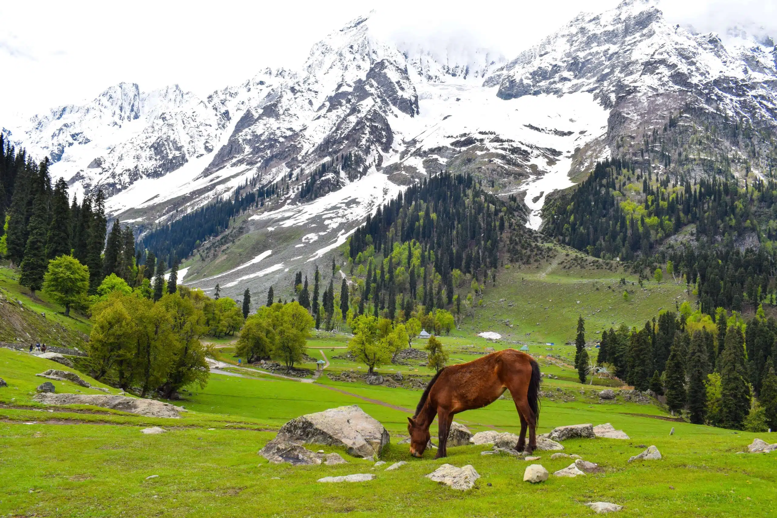 Neelum valley Tour