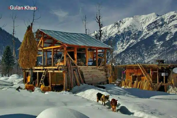 neelum valley tour packages