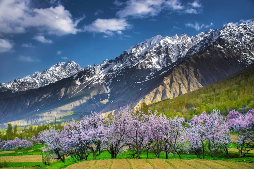 northern pakistan tour packages